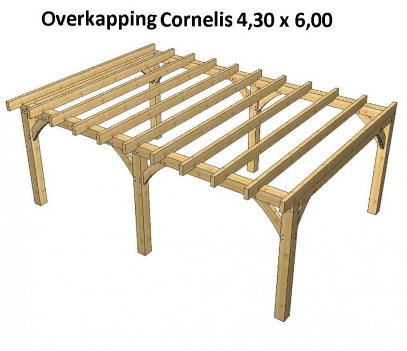 Soepel Belonend Bezet Overkapping van Douglas of Eiken hout, Cornelis plat dak, met overstek